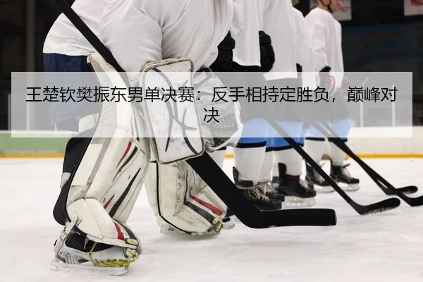 wang-chu-qin-fan-zhen-dong-nan-dan-jue-sai-fan-shou-xiang-chi-ding-sheng-fu-dian-feng-dui-jue-2-307.jpg