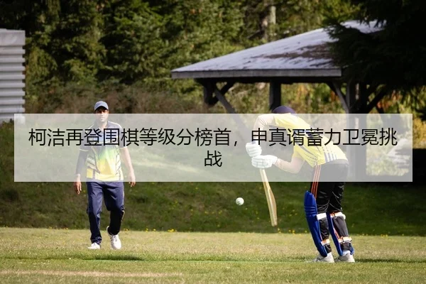 ke-jie-zai-deng-wei-qi-deng-ji-fen-bang-shou-shen-zhen-xu-xu-li-wei-mian-tiao-zhan-2-798.jpg